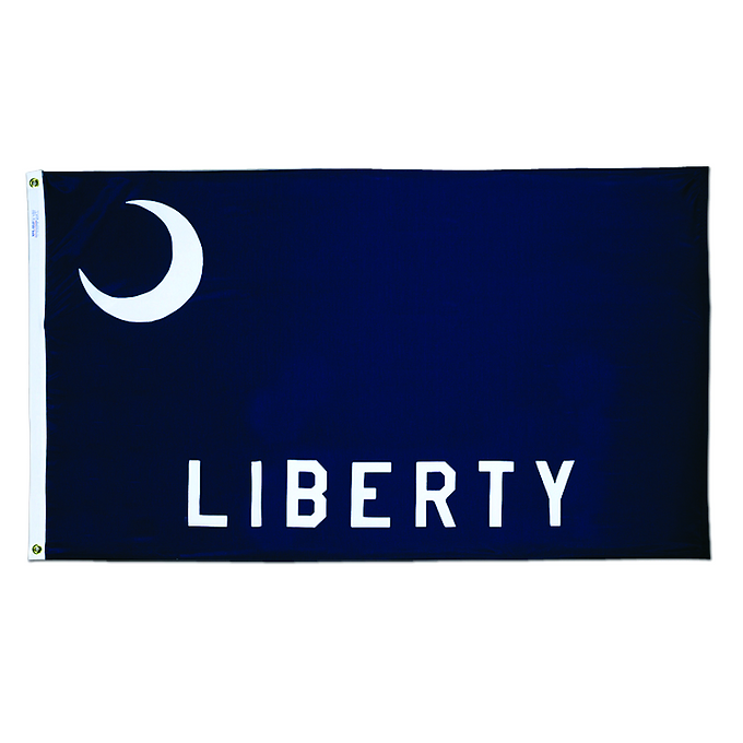 FORT MOULTRIE 3X5' NYLON OUTDOOR FLAG